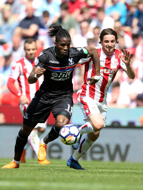 性与专业性 性与专业性